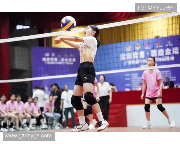 广州排球队的默契配合揭秘排球巨献背后的团队精神与战术分析