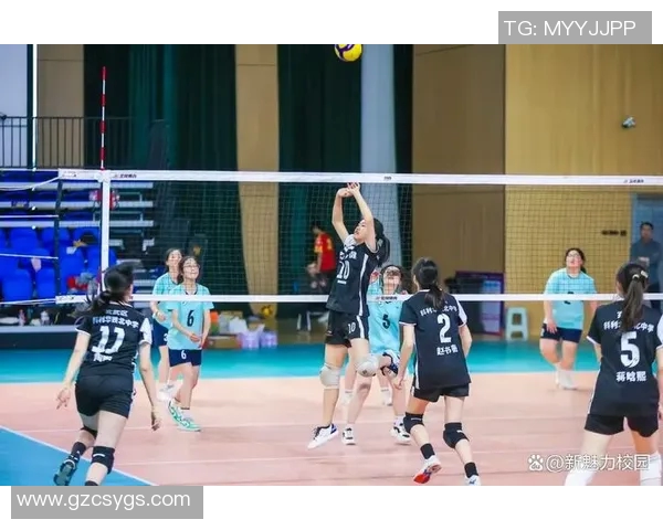排球团队协作实力大比拼北京排球队荣获第二名佳绩