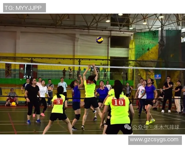 北京排球队战术创新引领潮流最新排球战术TOP10全面解析