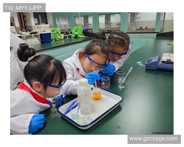 杨娜的乒乓球人生深度对话探索她的奋斗与梦想之路