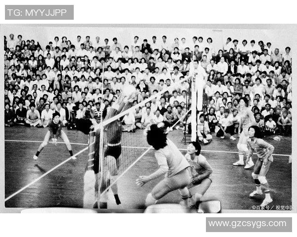 与刘磊深度对话回顾他的排球生涯与成长历程