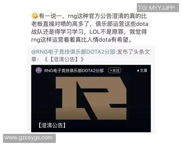 DOTA2巨献:深入解析WE战队的技术策略与战术布局
